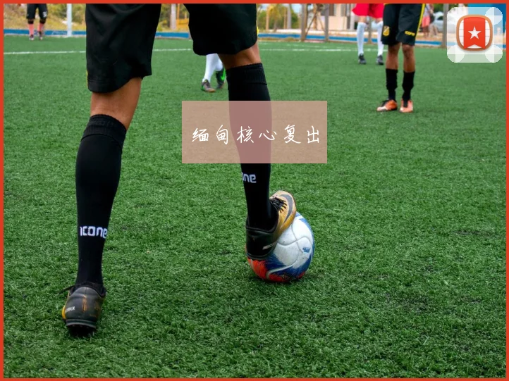 缅甸核心复出