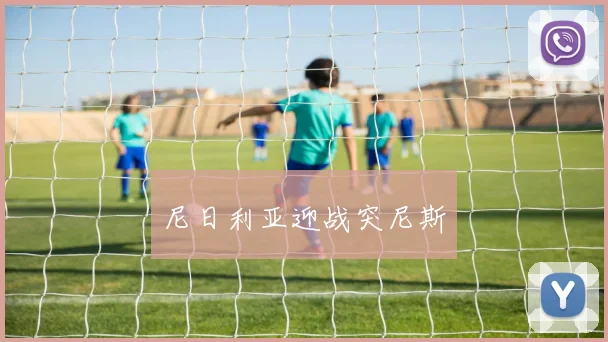 尼日利亚迎战突尼斯