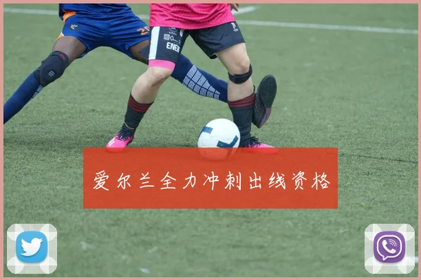 爱尔兰全力冲刺出线资格
