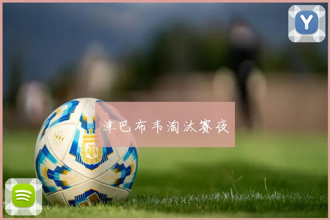 津巴布韦淘汰赛夜