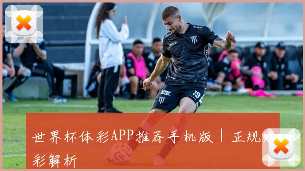 世界杯体彩APP推荐手机版｜正规购彩解析