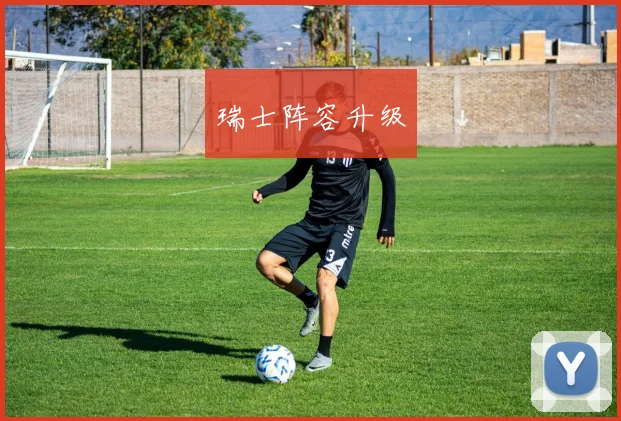 瑞士阵容升级