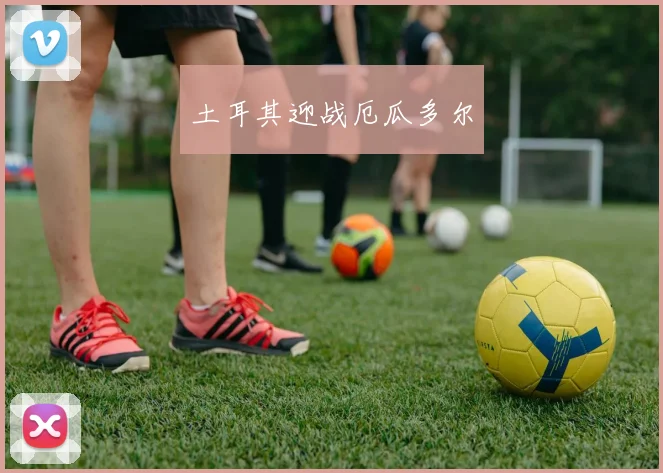 土耳其迎战厄瓜多尔