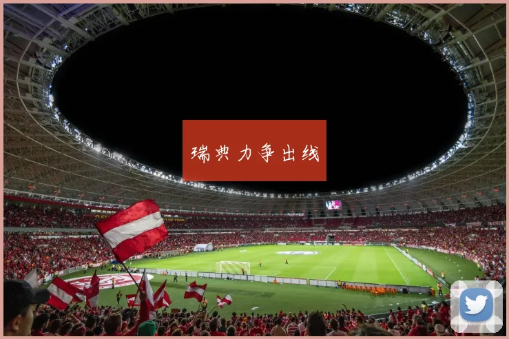 瑞典力争出线