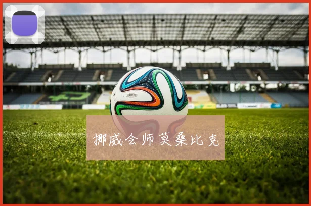 挪威会师莫桑比克