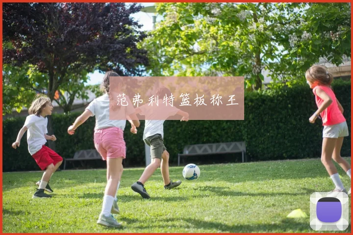 范弗利特篮板称王