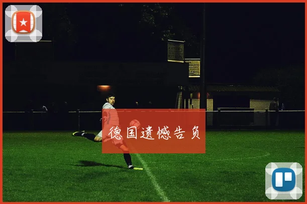德国遗憾告负