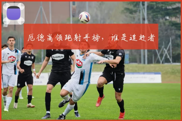 厄德高领跑射手榜，谁是追赶者