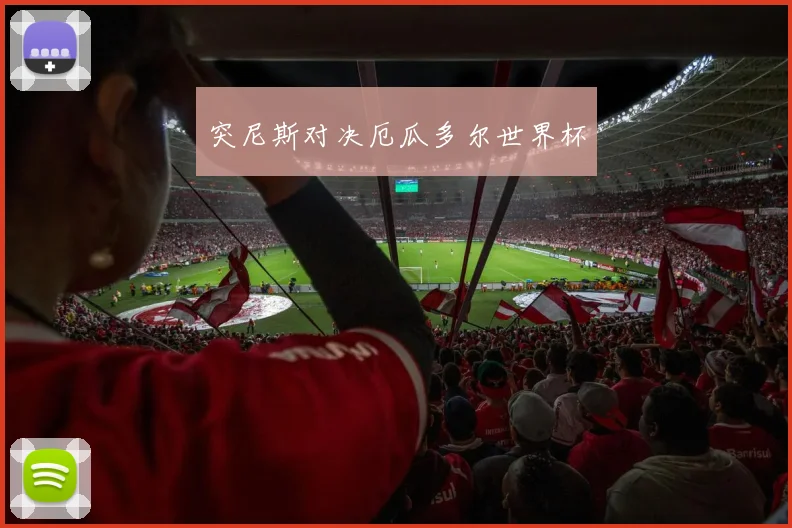 突尼斯对决厄瓜多尔世界杯