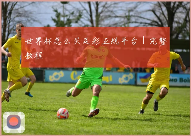 世界杯怎么买足彩正规平台｜完整教程