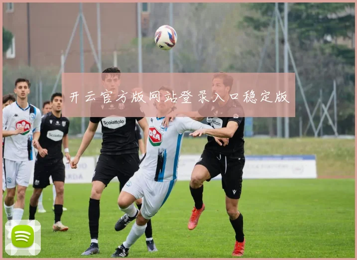 开云官方版网站登录入口稳定版