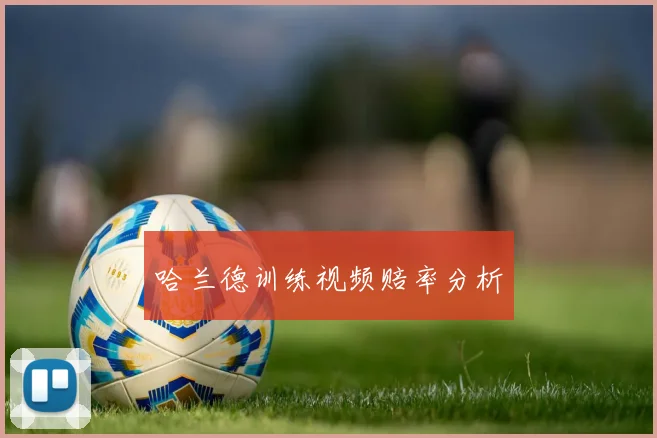 哈兰德训练视频赔率分析