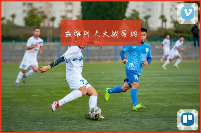 兹维列夫大战蒂姆
