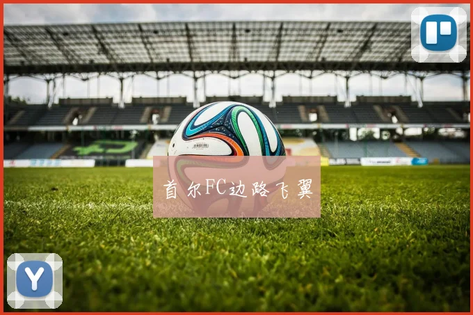 首尔FC边路飞翼