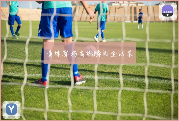 黄蜂赛场高燃瞬间全记录