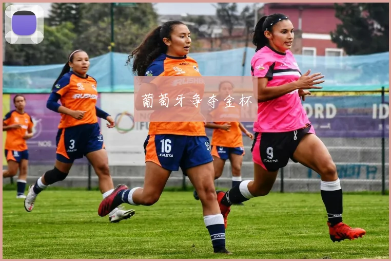 葡萄牙争夺金杯
