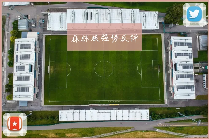 森林狼强势反弹