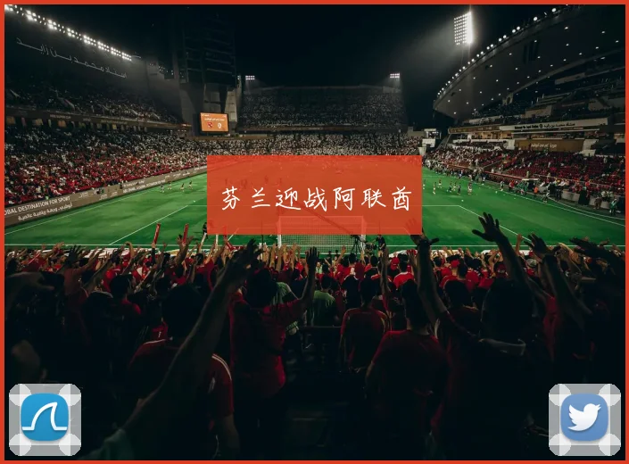 芬兰迎战阿联酋