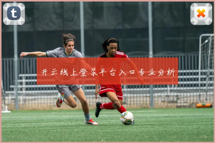 开云线上登录平台入口专业分析
