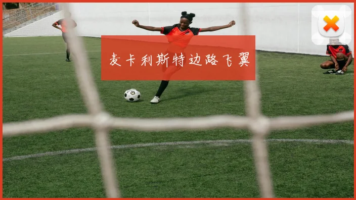 麦卡利斯特边路飞翼