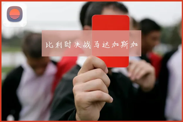 比利时决战马达加斯加