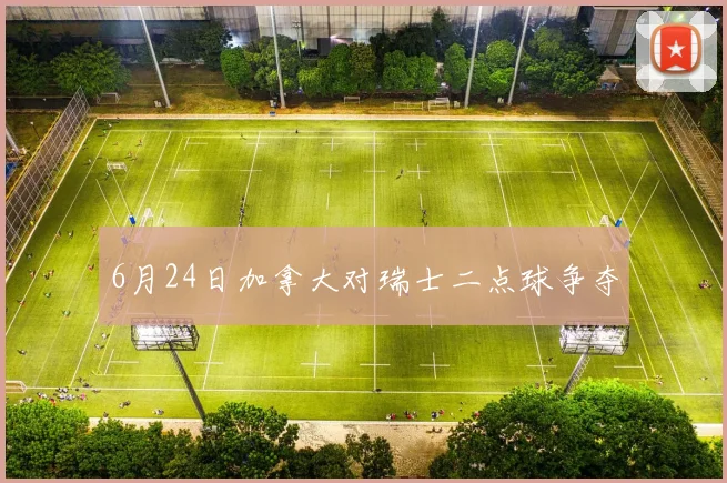 6月24日加拿大对瑞士二点球争夺